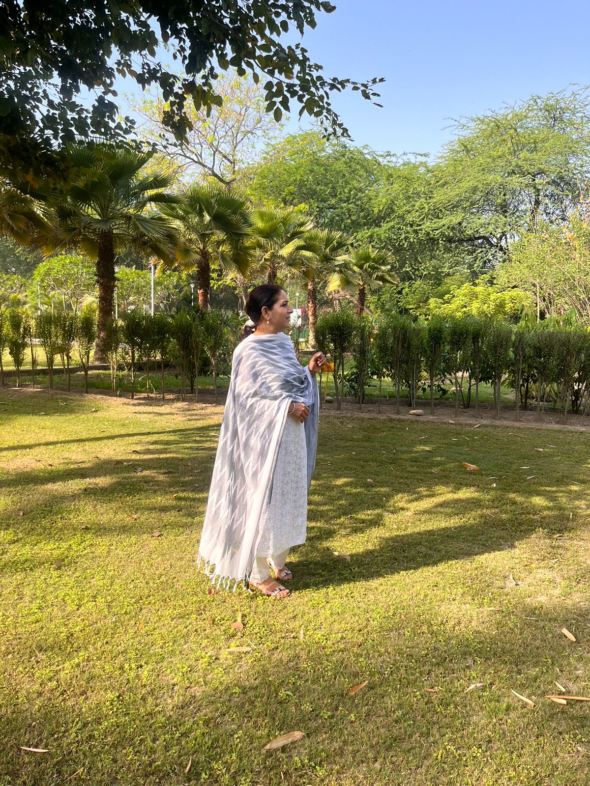 Grey Ikat Dupatta