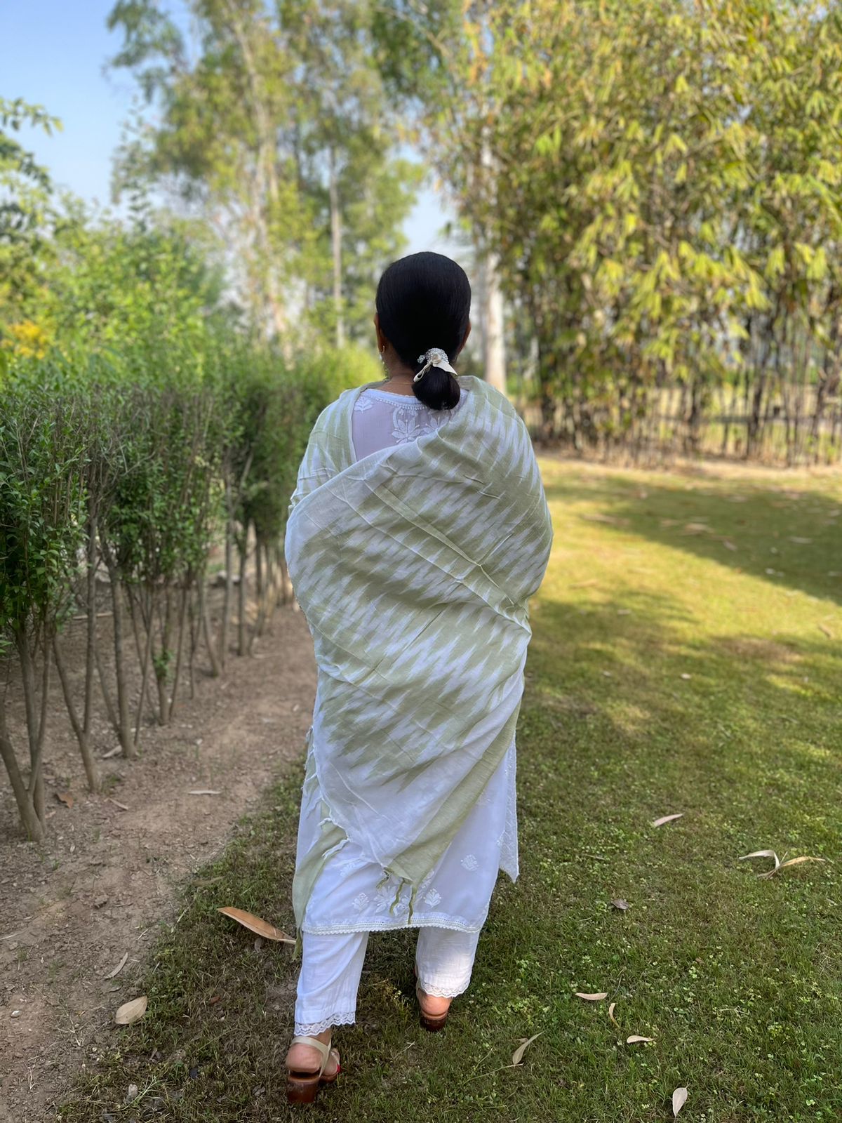 Light Olive Ikat Dupatta