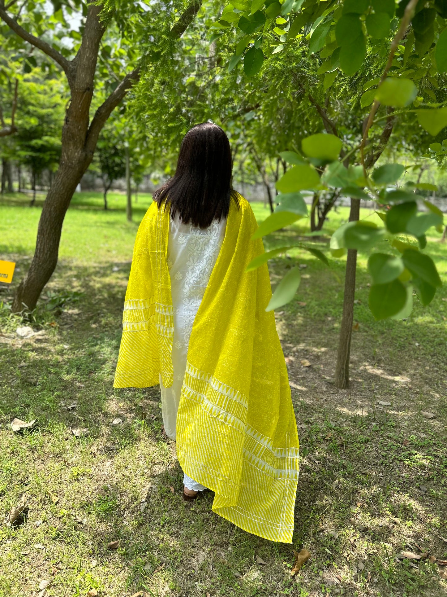 Grey Ikat Dupatta