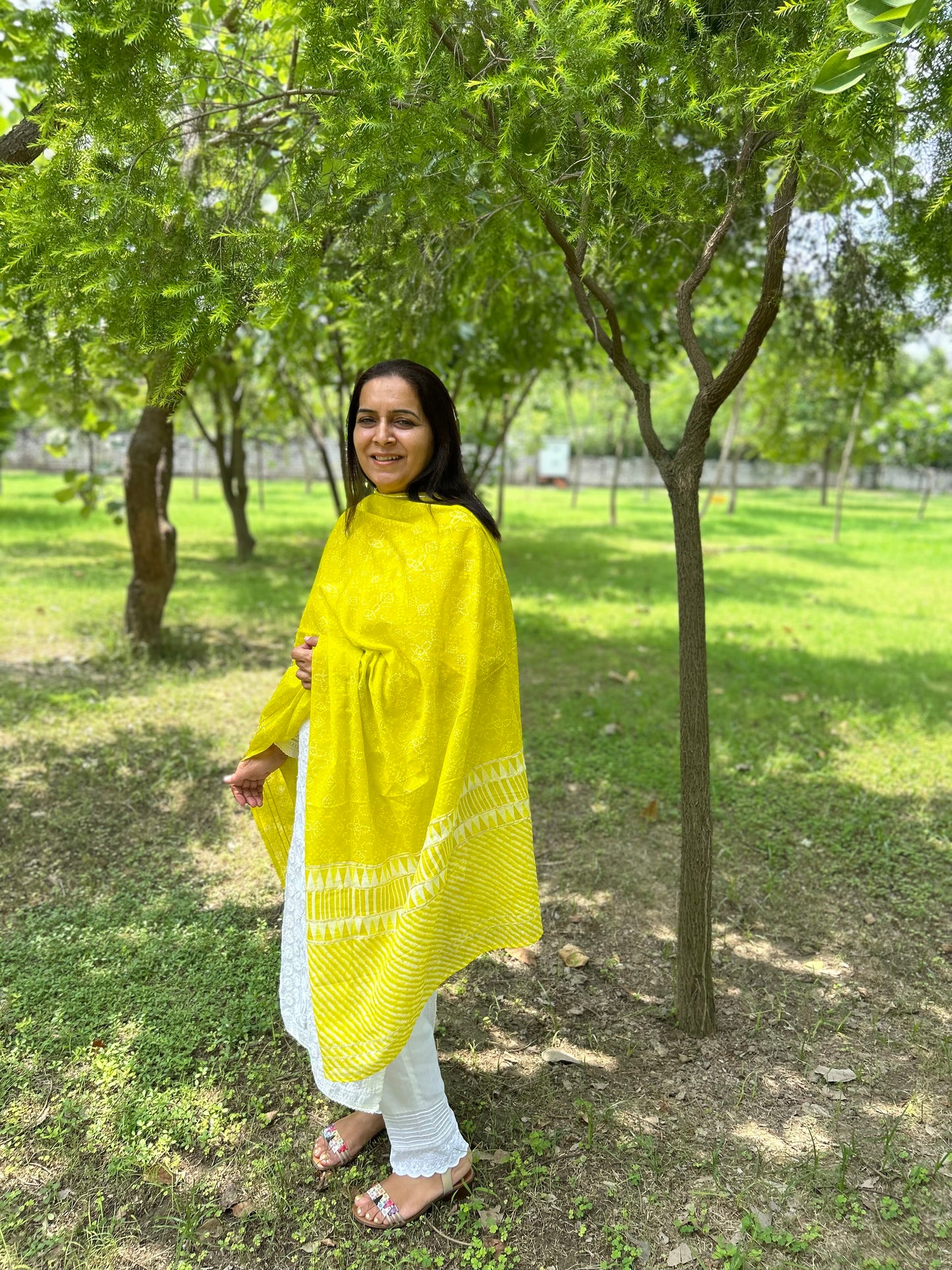 Grey Ikat Dupatta