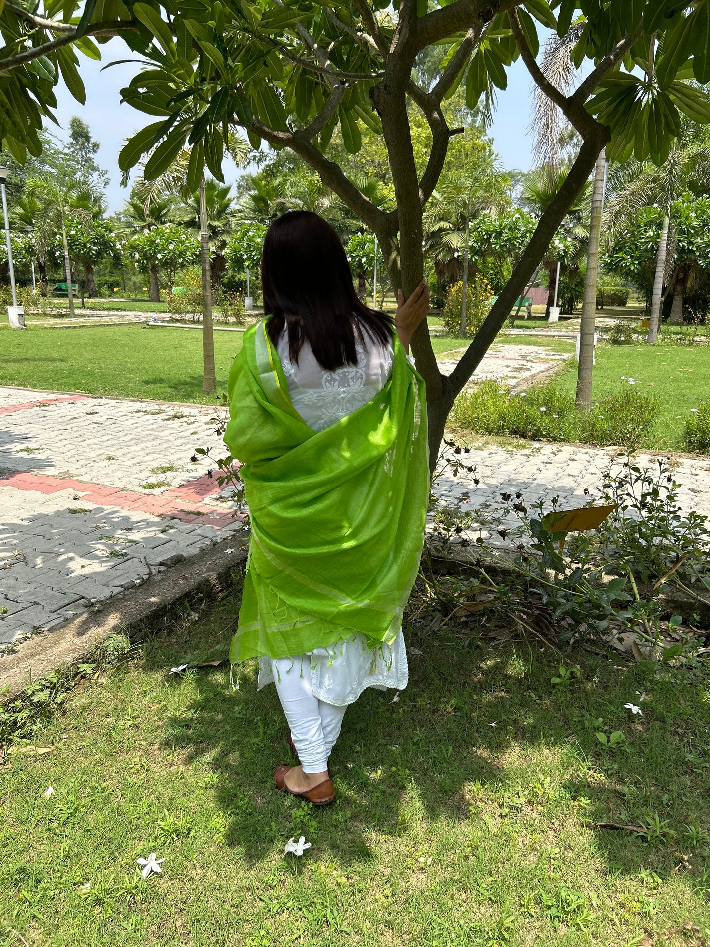 Parrot Green Linen Dupatta