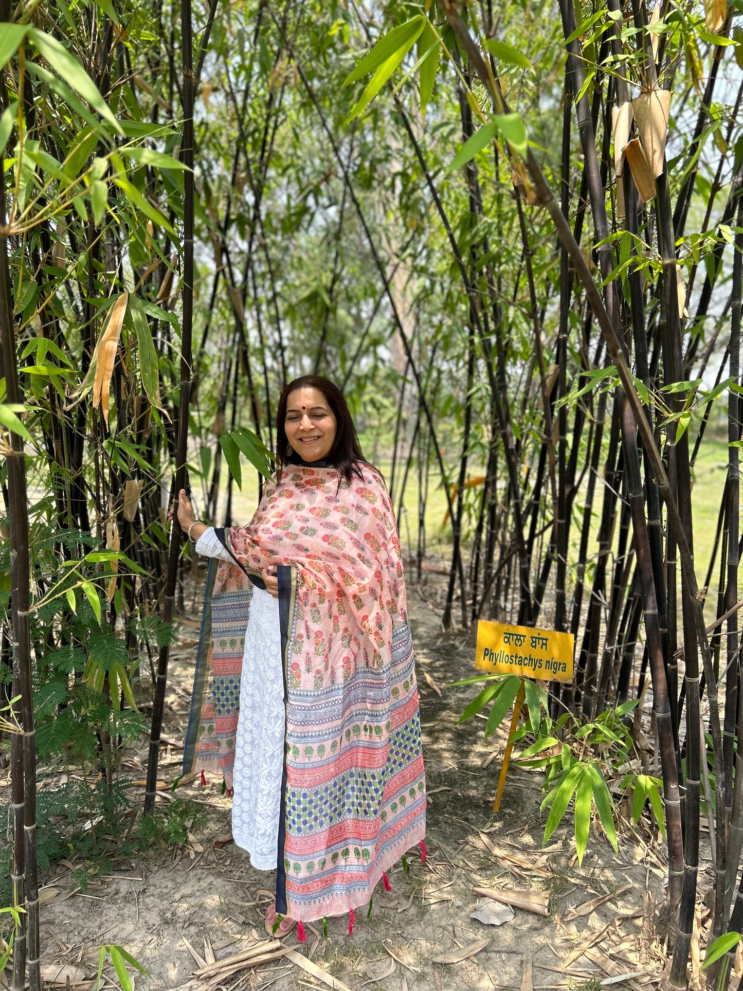Peach Chanderi Digital Printed Dupatta