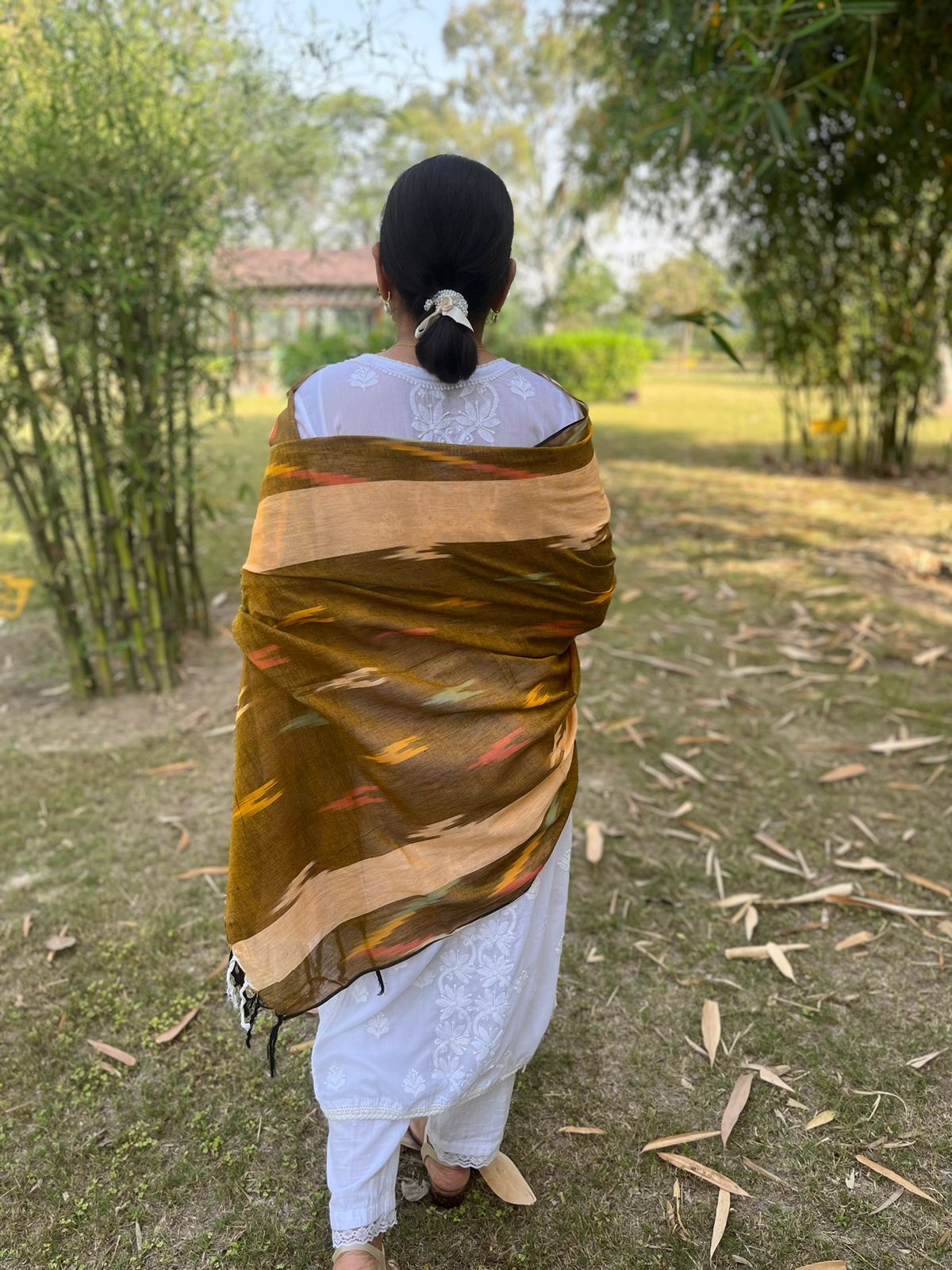Olive Ikat Dupatta